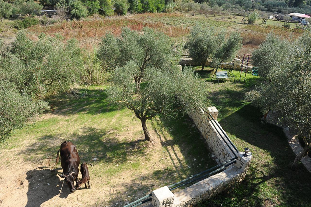 Ammos Zante Villas Vasilikí Kültér fotó